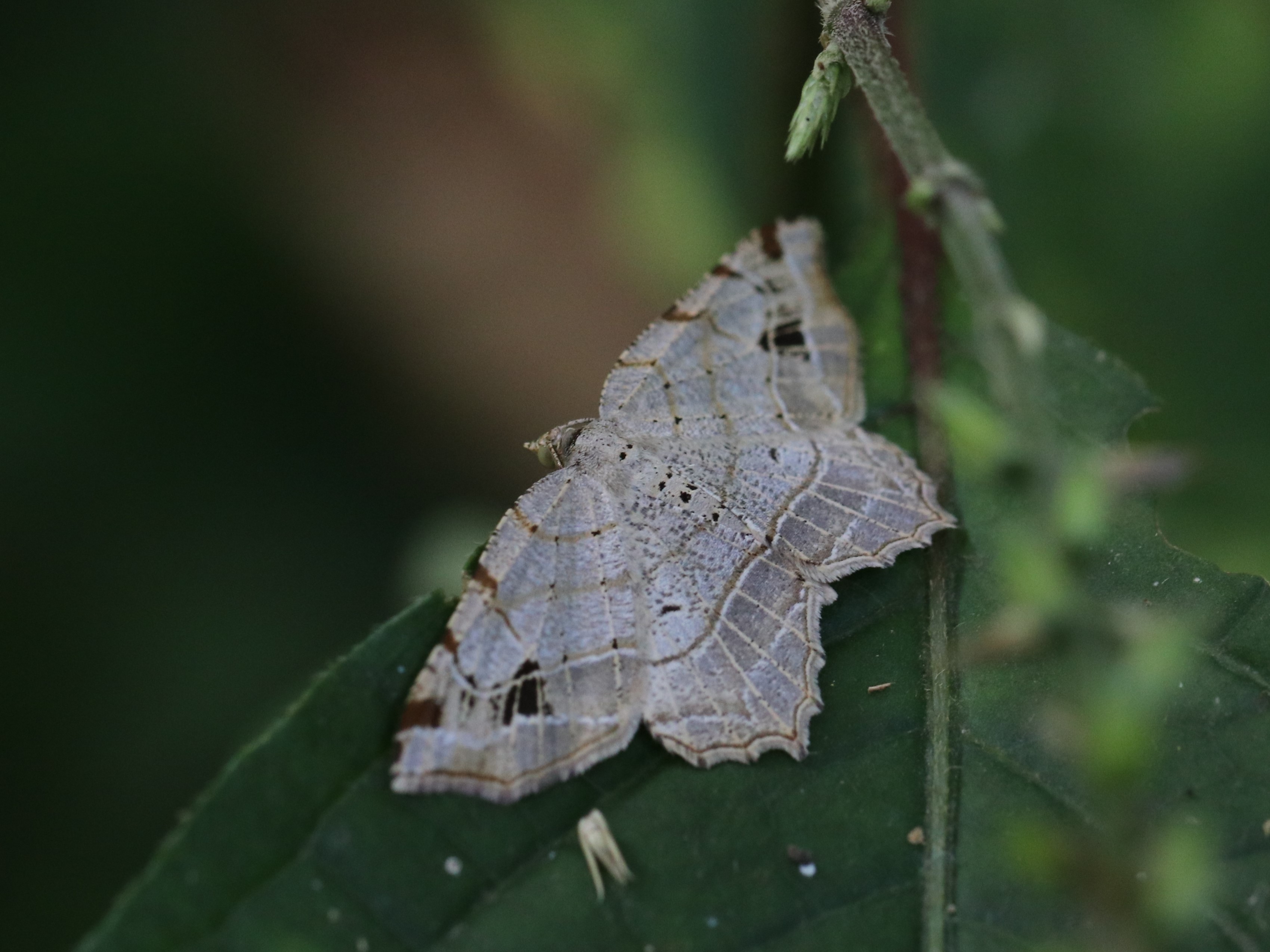 photo_1